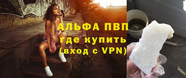 индика Костерёво