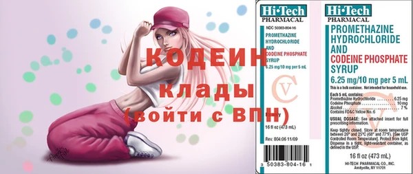 индика Костерёво