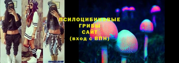 индика Костерёво