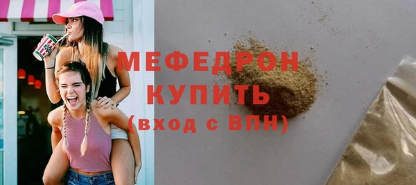 индика Костерёво