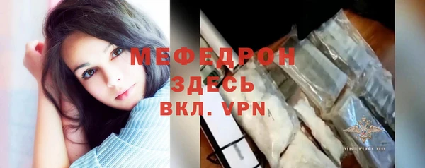 индика Костерёво