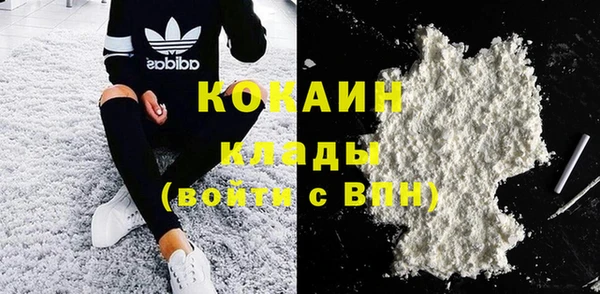 индика Костерёво