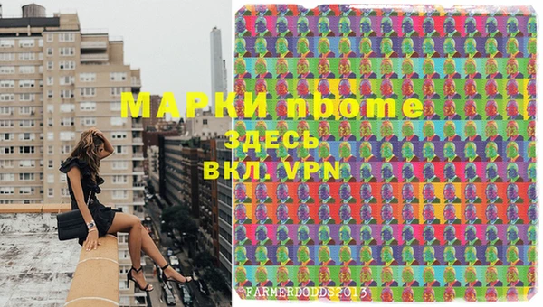 молекула духа Коряжма