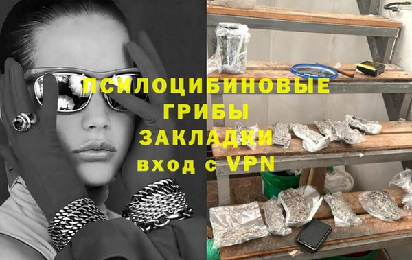 молекула духа Коряжма