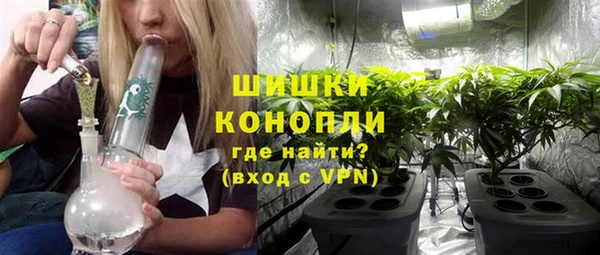 индика Костерёво