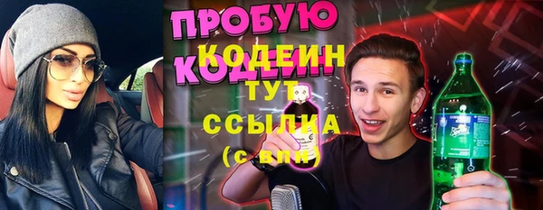 индика Костерёво