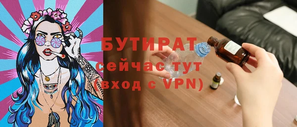 индика Костерёво