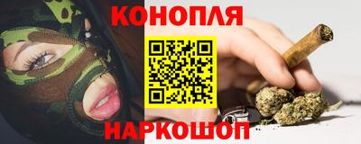 дмт Новозыбков