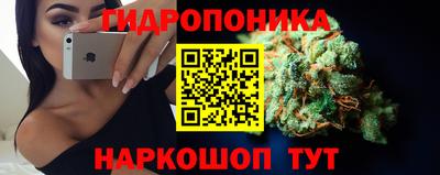 индика Апрелевка