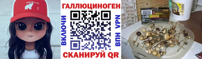 Галлюциногенные грибы GOLDEN TEACHER  Сунжа 