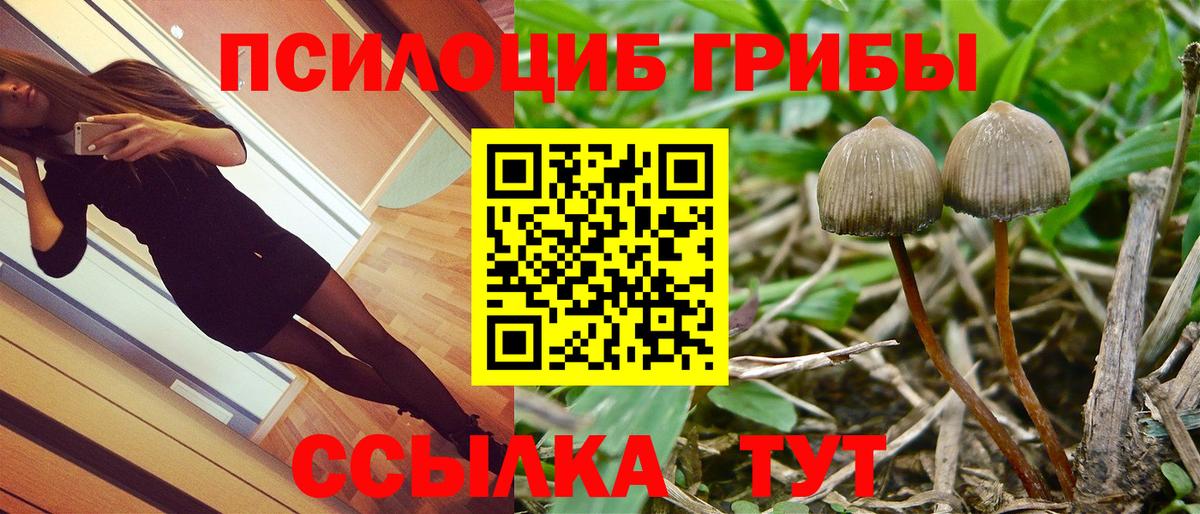 Сунжа  Галлюциногенные грибы ЛСД  Вход с VPN  наркотики  Псилоцибиновые грибы Psilocybine cubensis 