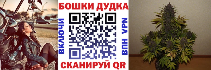 Канабис Ganja  Сунжа 
